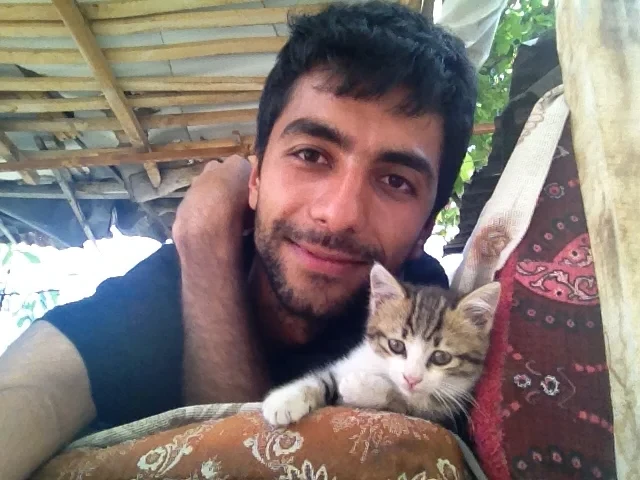 Kitten selfie in the countryside